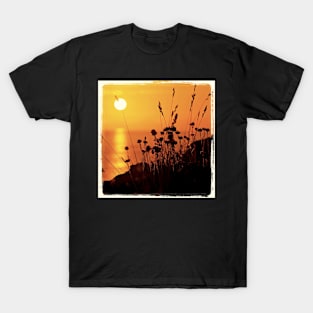 I pinned the sun T-Shirt